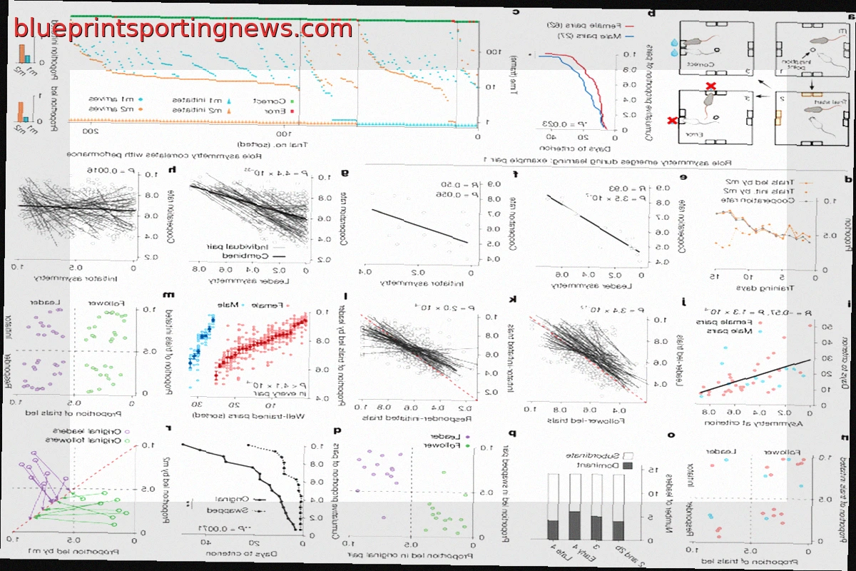 Asymmetric Prefrontal Representations for Leader–Follower Dynamics