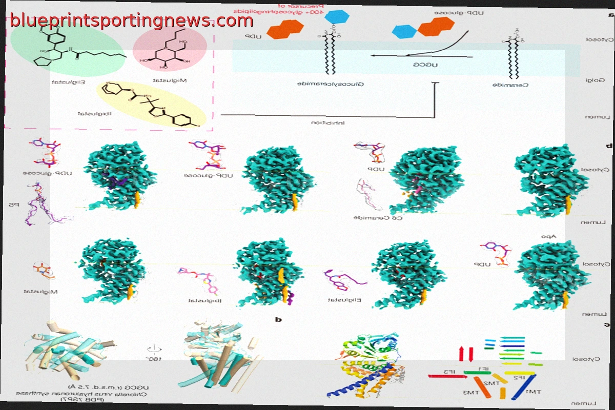 Primate-Specific Regulation of the Human Glycosphingolipid Gatekeeper UGCG