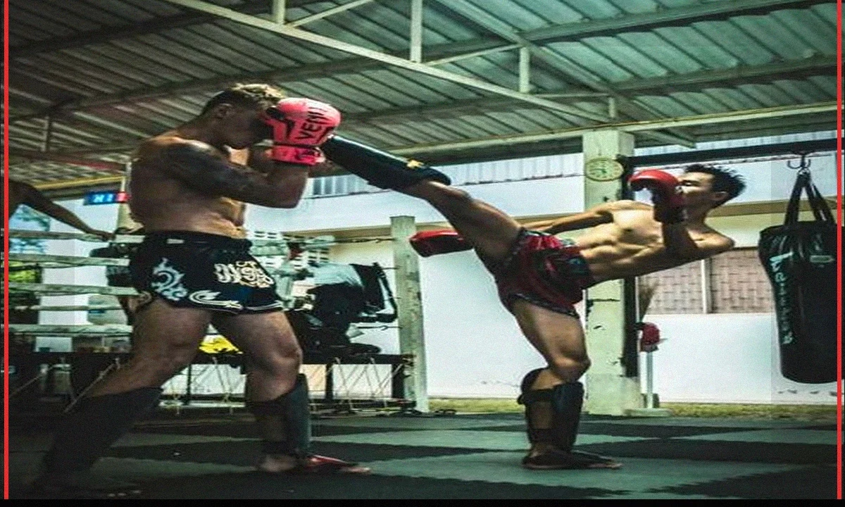 How Local Search Helps MMA Gyms Attract New Students